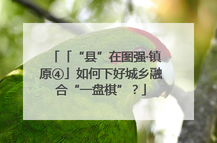 「“县”在图强·镇原④」如何下好城乡融合“一盘棋”？