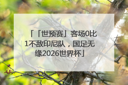 「世预赛」客场0比1不敌印尼队，国足无缘2026世界杯