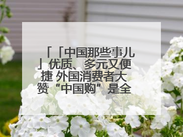 「中国那些事儿」优质、多元又便捷 外国消费者大赞“中国购”是全新体验！