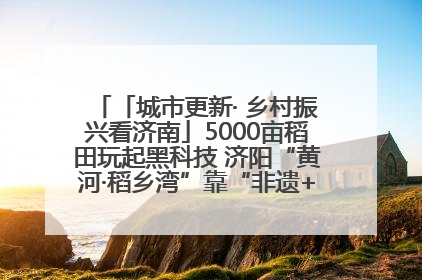 「城市更新· 乡村振兴看济南」5000亩稻田玩起黑科技 济阳“黄河·稻乡湾”靠“非遗+露营”火出圈