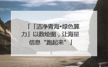 「洁净青海•绿色算力」以数绘图，让海量信息“跑起来”