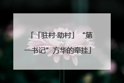 「驻村·助村」“第一书记”方华的牵挂