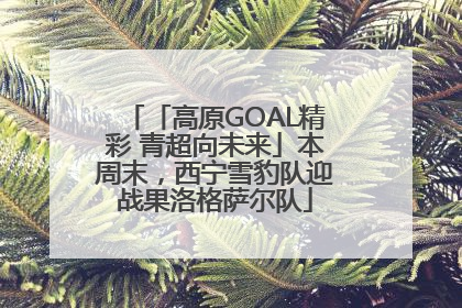 「高原GOAL精彩 青超向未来」本周末，西宁雪豹队迎战果洛格萨尔队