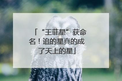 “王菲星”获命名！追的星真的成了天上的星