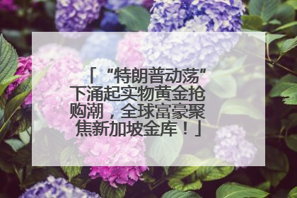 “特朗普动荡”下涌起实物黄金抢购潮，全球富豪聚焦新加坡金库！