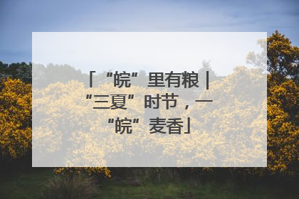 “皖”里有粮｜“三夏”时节，一“皖”麦香