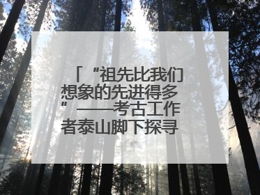 “祖先比我们想象的先进得多”——考古工作者泰山脚下探寻中华文明起源