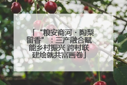 “粮安商河・陶梨留香”：三产融合赋能乡村振兴 跨村联建绘就共富画卷