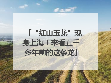 “红山玉龙”现身上海！来看五千多年前的这条龙