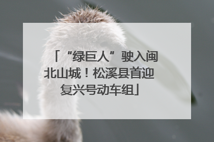 “绿巨人”驶入闽北山城！松溪县首迎复兴号动车组