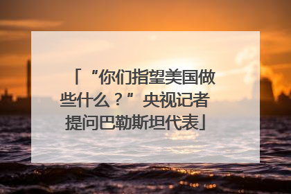 “你们指望美国做些什么？”央视记者提问巴勒斯坦代表