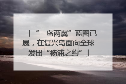 “一岛两翼”蓝图已展，在复兴岛面向全球发出“杨浦之约”
