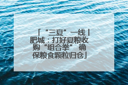 “三夏”一线丨肥城：打好夏粮收购“组合拳” 确保粮食颗粒归仓
