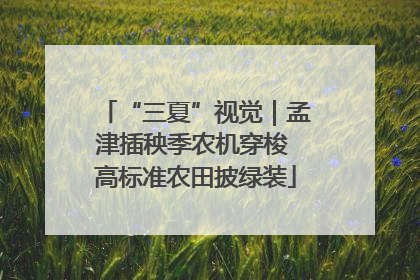 “三夏”视觉｜孟津插秧季农机穿梭 高标准农田披绿装