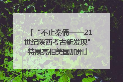 “不止秦俑——21世纪陕西考古新发现”特展亮相美国加州
