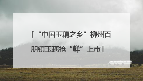 “中国玉藕之乡”柳州百朋镇玉藕抢“鲜”上市