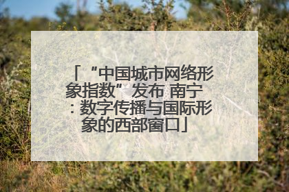 “中国城市网络形象指数”发布 南宁：数字传播与国际形象的西部窗口