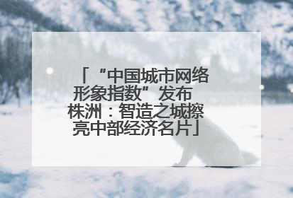 “中国城市网络形象指数”发布 株洲：智造之城擦亮中部经济名片