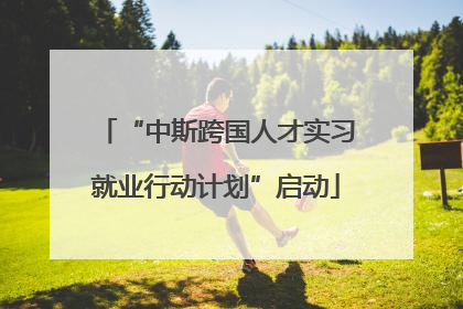 “中斯跨国人才实习就业行动计划”启动