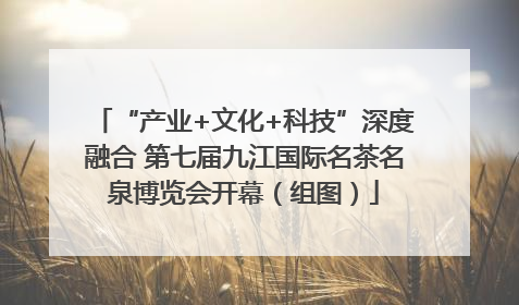 “产业+文化+科技”深度融合 第七届九江国际名茶名泉博览会开幕（组图）