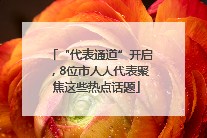 “代表通道”开启，8位市人大代表聚焦这些热点话题