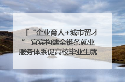 “企业育人+城市留才” 宜宾构建全链条就业服务体系促高校毕业生就业｜您牵挂的四川