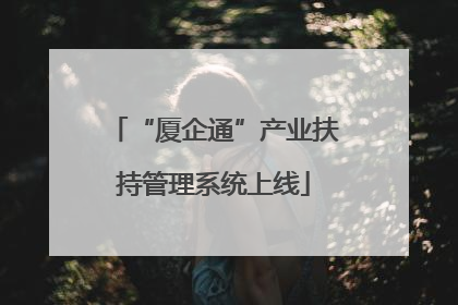 “厦企通”产业扶持管理系统上线