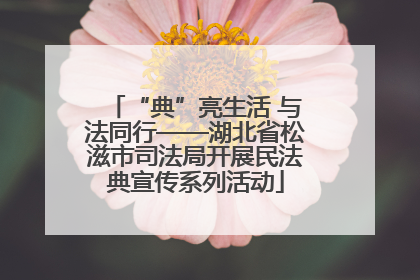 “典”亮生活 与法同行——湖北省松滋市司法局开展民法典宣传系列活动