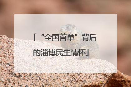 “全国首单”背后的淄博民生情怀