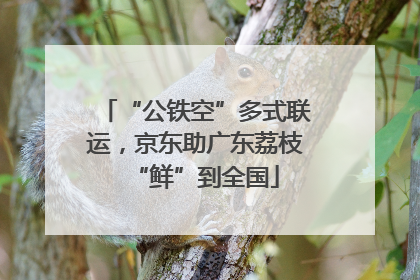 “公铁空”多式联运，京东助广东荔枝“鲜”到全国