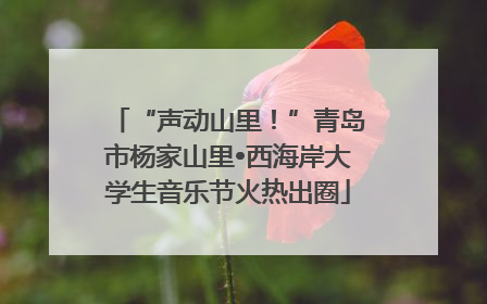 “声动山里！”青岛市杨家山里•西海岸大学生音乐节火热出圈