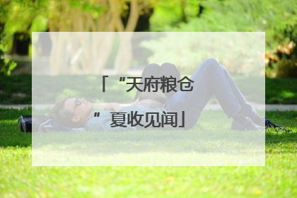 “天府粮仓”夏收见闻