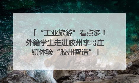 “工业旅游”看点多！外籍学生走进胶州李哥庄镇体验“胶州智造”