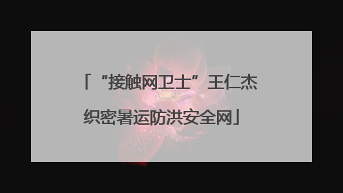 “接触网卫士”王仁杰织密暑运防洪安全网