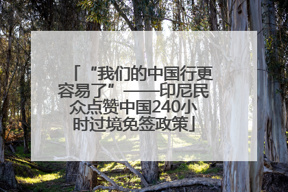 “我们的中国行更容易了”——印尼民众点赞中国240小时过境免签政策