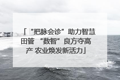 “把脉会诊”助力智慧田管 “数智”良方夺高产 农业焕发新活力