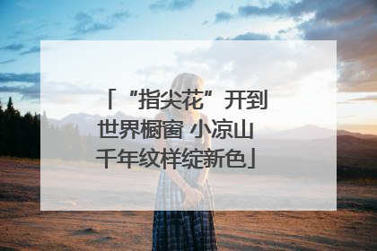 “指尖花”开到世界橱窗 小凉山千年纹样绽新色