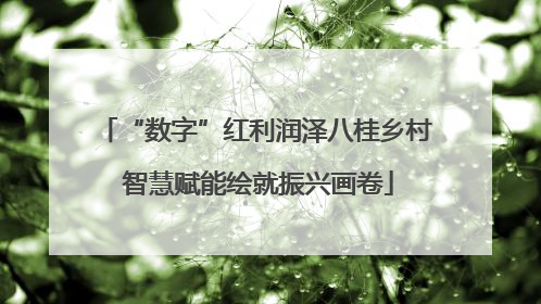 “数字”红利润泽八桂乡村 智慧赋能绘就振兴画卷