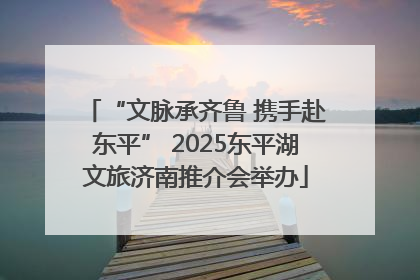 “文脉承齐鲁 携手赴东平” 2025东平湖文旅济南推介会举办