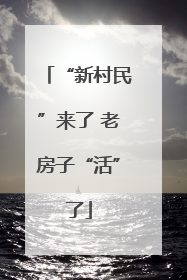 “新村民”来了 老房子“活”了