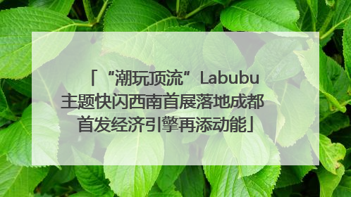 “潮玩顶流”Labubu主题快闪西南首展落地成都 首发经济引擎再添动能