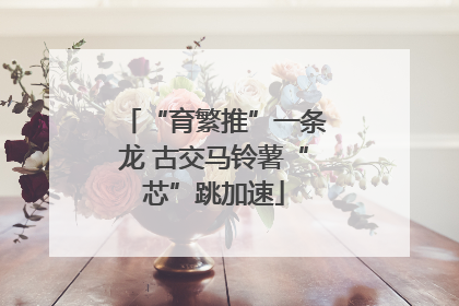 “育繁推”一条龙 古交马铃薯“芯”跳加速