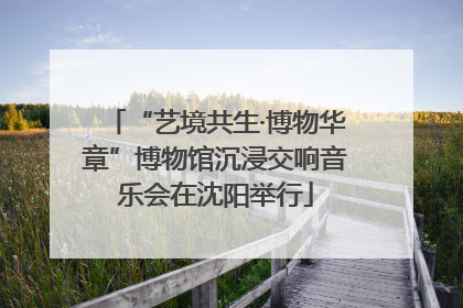 “艺境共生·博物华章”博物馆沉浸交响音乐会在沈阳举行