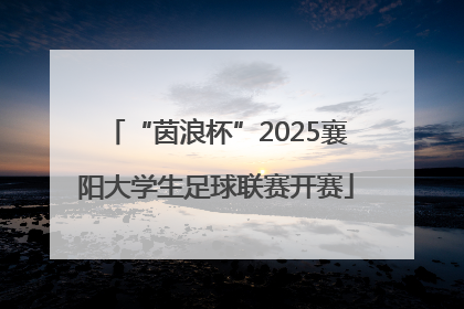 “茵浪杯”2025襄阳大学生足球联赛开赛