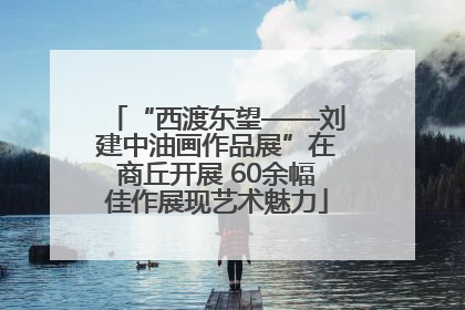 “西渡东望——刘建中油画作品展”在商丘开展 60余幅佳作展现艺术魅力