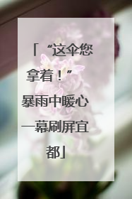“这伞您拿着！” 暴雨中暖心一幕刷屏宜都