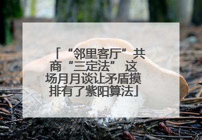 “邻里客厅”共商“三定法” 这场月月谈让矛盾摸排有了紫阳算法