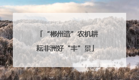 “郴州造”农机耕耘非洲好“丰”景
