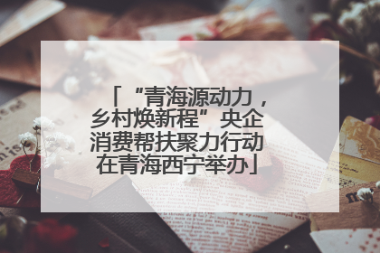 “青海源动力，乡村焕新程”央企消费帮扶聚力行动在青海西宁举办