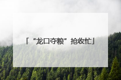 “龙口夺粮”抢收忙